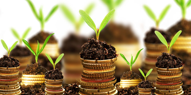Nigeria Investment Opportunities for local and foreign investors