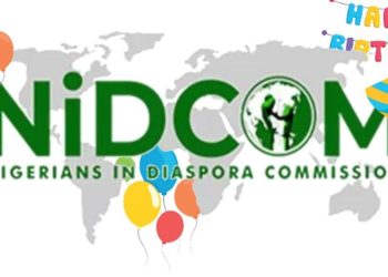 FG assures of willingness to create enabling environment for local investment by foreign based Nigerians