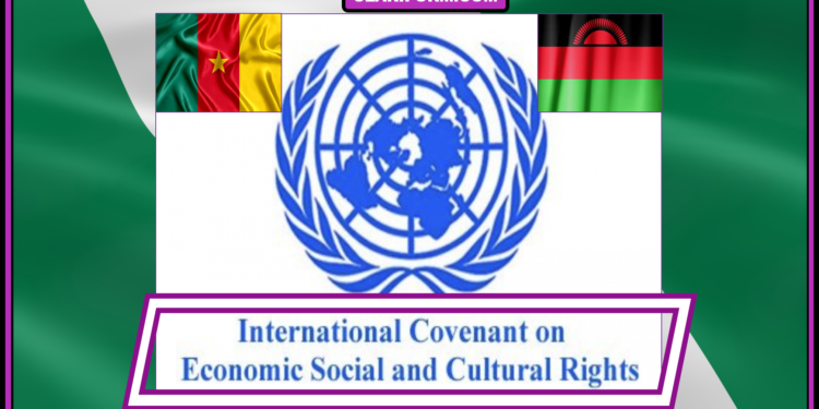 Nigeria gets another 4 years at UN agency, beating Cameroon and Malawi