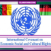 Nigeria gets another 4 years at UN agency, beating Cameroon and Malawi