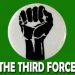 So Much for the Third Force