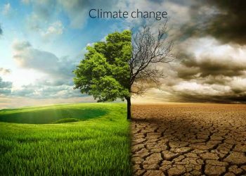 FG wants EU`s support to implement climate change Act, environmental policies