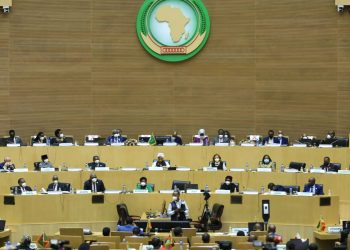 African Union seeks to salvage rising food insecurity in the region in talk with President Putin