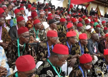 Ohanaeze describes Okowa`s selection as “serial betrayal “, but what more can the South East do?