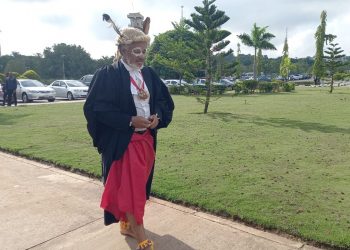 Lawyer who caused mild drama at the Supreme Court cannot be said to have appeared before the court, SAN argues