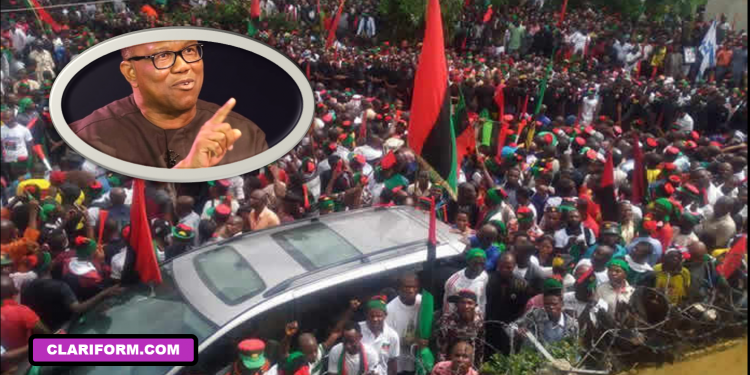 BNP, Biafran rights group speaks on Peter Obi, Sit at home and Nnamdi Kanu