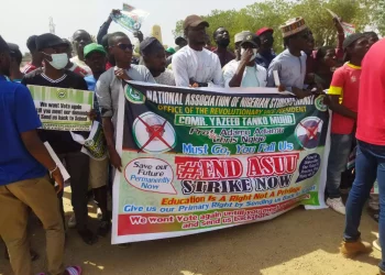 Nigeria may be short down fully following growing support for ASUU as student body joins hands with Labour