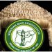 Embattled lawyer enmeshed in allegation of professional misconduct advises colleagues at call to Bar ceremony
