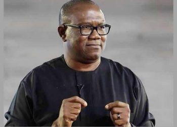 2023 Election: Nigerian workers officially endorse Peter Obi, to raise “polling unit armies to ensure that” results are not manipulated
