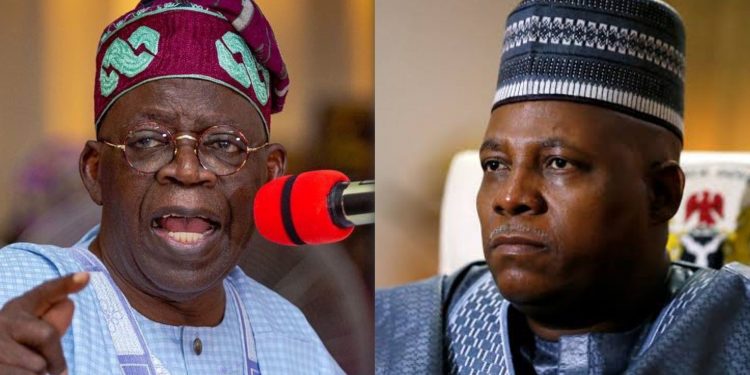 The real truth why Tinubu went for Kashim Shettima
