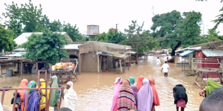 Jigawa flood, death toll rises To 51 as the rainy season continues
