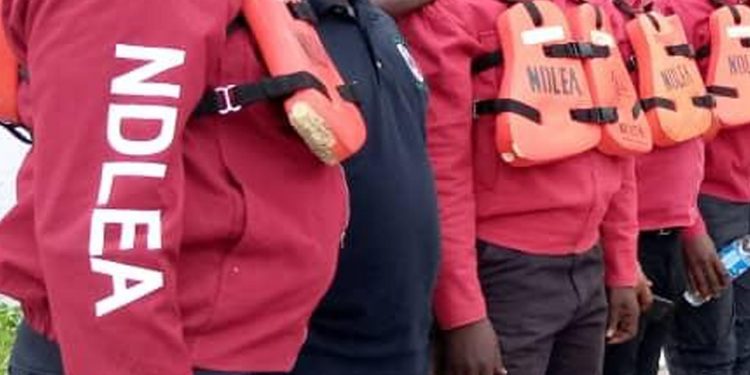 REVEALED: Leaked memo unravels how NDLEA discovered laboratory for meth hard drug production in VGC, Lagos