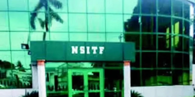 “Termites ate N17b vouchers in our office” – MD NSTIF Tells Senate Panel