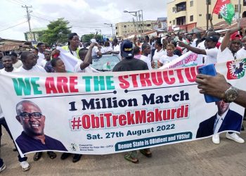 2023 ELECTION: Nigerians in diaspora to host Peter Obi in the United States