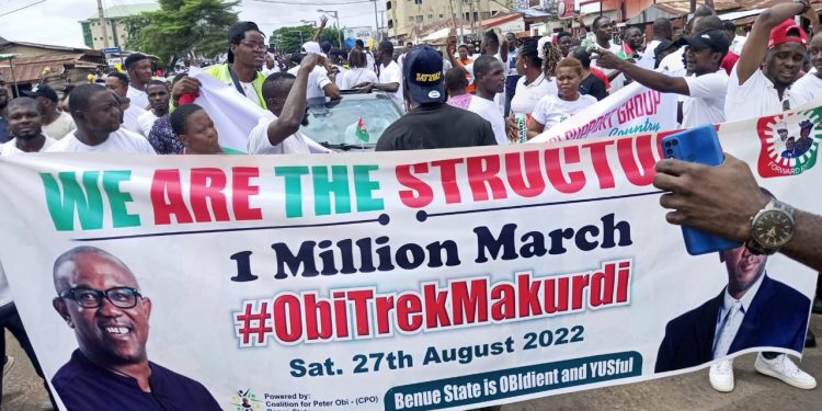 2023 ELECTION: Nigerians in diaspora to host Peter Obi in the United States