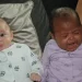 British woman with Nigerian root gives birth to twins with different looks that gets people asking, “Are they both yours?”