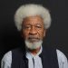 Wole Soyinka calls for the prescription of Miyetti Allah