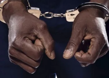 Former minister detained for criticising and “refusing to apologise to the head of state”, after calling him a “demon… holding his people prisoner”