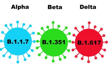 US researchers release report on impacts of COVID-19 pandemic on stress patterns and personality changes