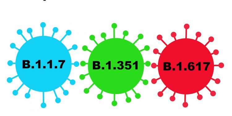 US researchers release report on impacts of COVID-19 pandemic on stress patterns and personality changes