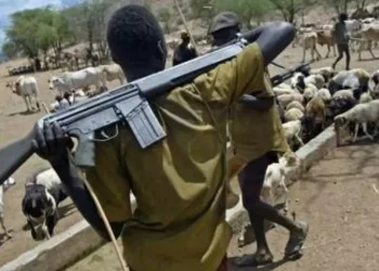 INSECURITY: Fresh herders attack leaves six dead in Benue community