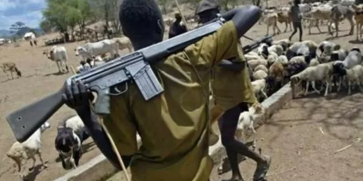 INSECURITY: Fresh herders attack leaves six dead in Benue community