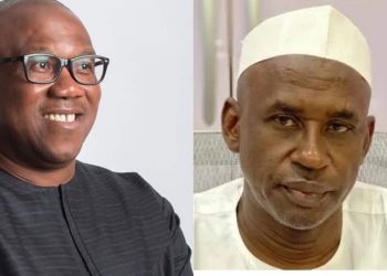 Ohaneze Ndigbo calls for the arrest and  prosecution of Shehu Mahdi for inciting comments