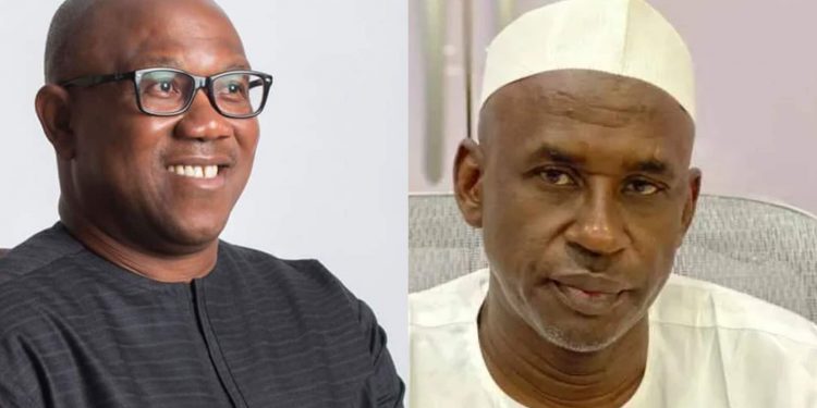 Ohaneze Ndigbo calls for the arrest and  prosecution of Shehu Mahdi for inciting comments