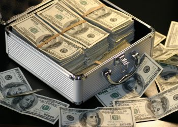 Developing Economies Challenge Dollar Dominance at BRICS Meeting