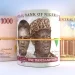 A look at the Threat from Nigeria’s Apex Bank to Currency Speculators