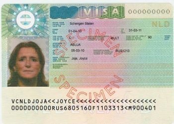 How to Pass Any Visa Interview: A Comprehensive Guide on Mastering the Art of Surviving the Questioning