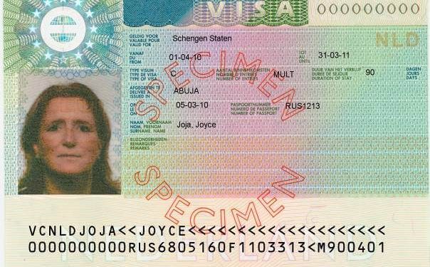 How to Pass Any Visa Interview: A Comprehensive Guide on Mastering the Art of Surviving the Questioning