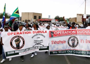 Operation Dudula: From Vigilante Group to Political Party in South Africa