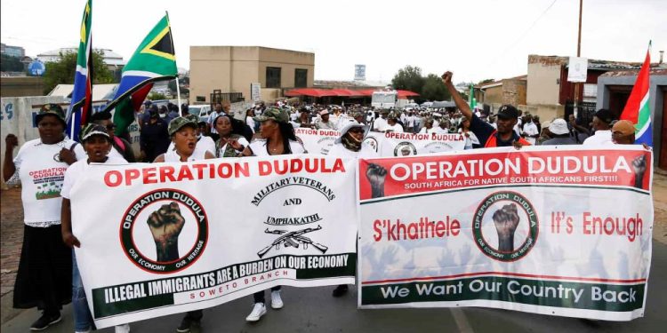 Operation Dudula: From Vigilante Group to Political Party in South Africa