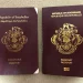 Unveiling Seychelles: The Passport Powerhouse of Africa