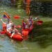 Netherland Immigration Update: Changes to Temporary Protection Directive