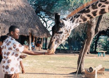 Briefing on Visa-Free Travel Opportunities in Africa and Countries Pioneering Them